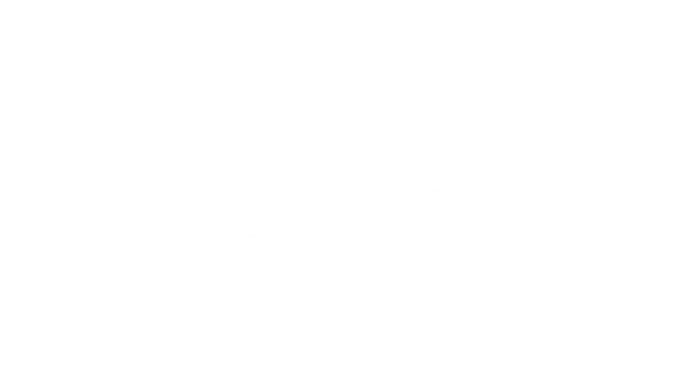 Web - Girilokha (4)
